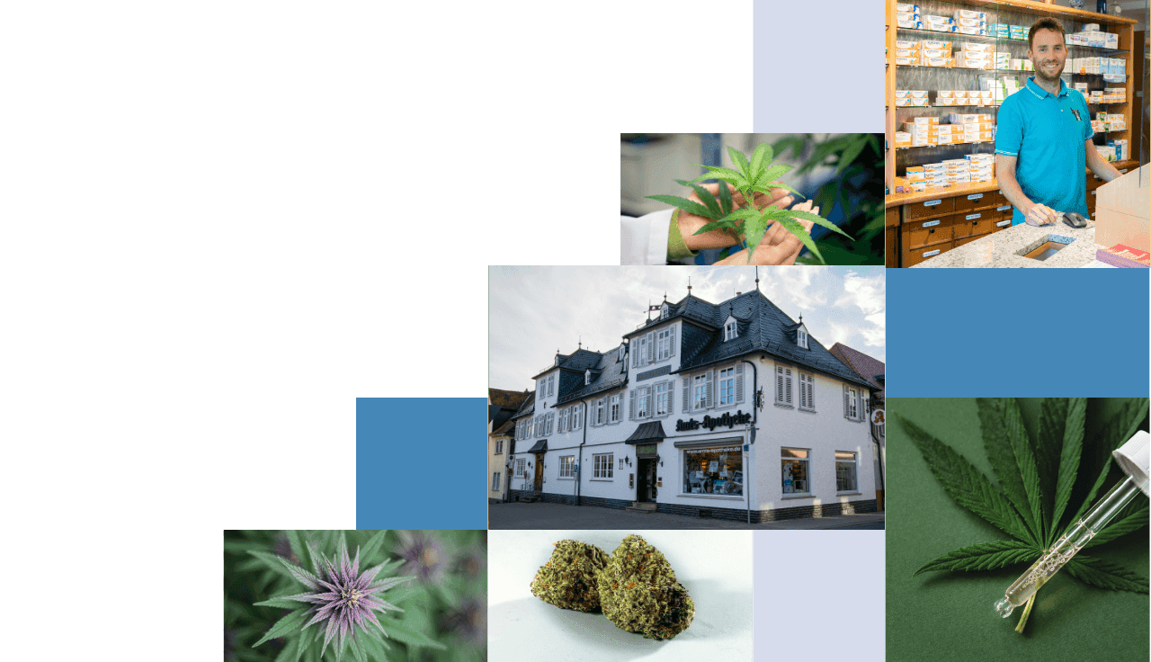 verschiedene Bilder von Cannabis in Mosaik